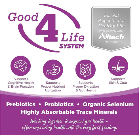 NutriSource Large Breed Grain Free Puppy Dry Dog Food 26lb poudrefeed.com 2